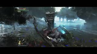 Elden Ring max settings ultrawide fix 4