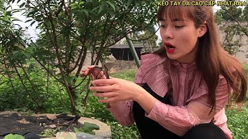 Kéo tay da nhật bản thép sk5 chính hãng 0983781388