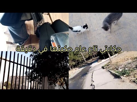 احكي حكايتك اسمعوني لبنات نحتاجكم توقفوا معايا 