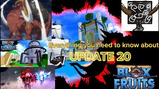 Everything you need to know about UPDATE 20 (blox fruits)