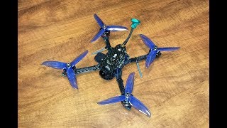 FPV tree walk in dusk with Eachine C800T