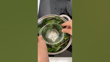 How to Make Mint Distillate at Home #mint_distillate