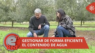 EnRed | Gest Cubierta, una app gratuita que optimiza la gestión de cubiertas vegetales screenshot 4