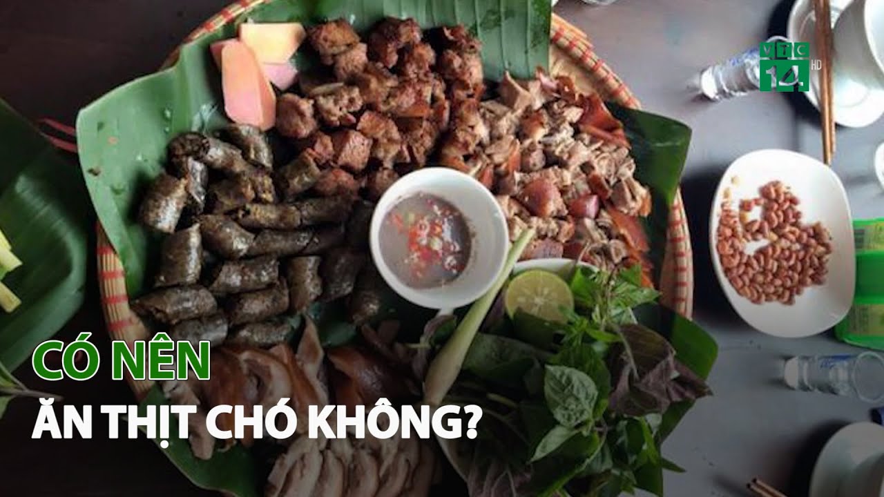 Có nên ăn Thịt Chó không?| VTC14 - YouTube