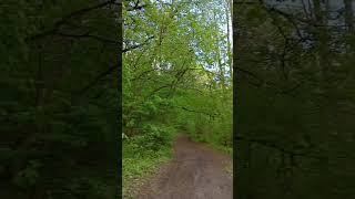 Проблемы со стояком 🌳🏞️🌅😜🤪🤣💣💥🔥
