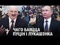 «Расея вучыцца ў рэжыму Лукашэнкі», – расейскі журналіст / «Россия учится у режима Лукашенко»