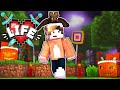 A Horrible Mistake Occurred.... - Minecraft X Life SMP (44)