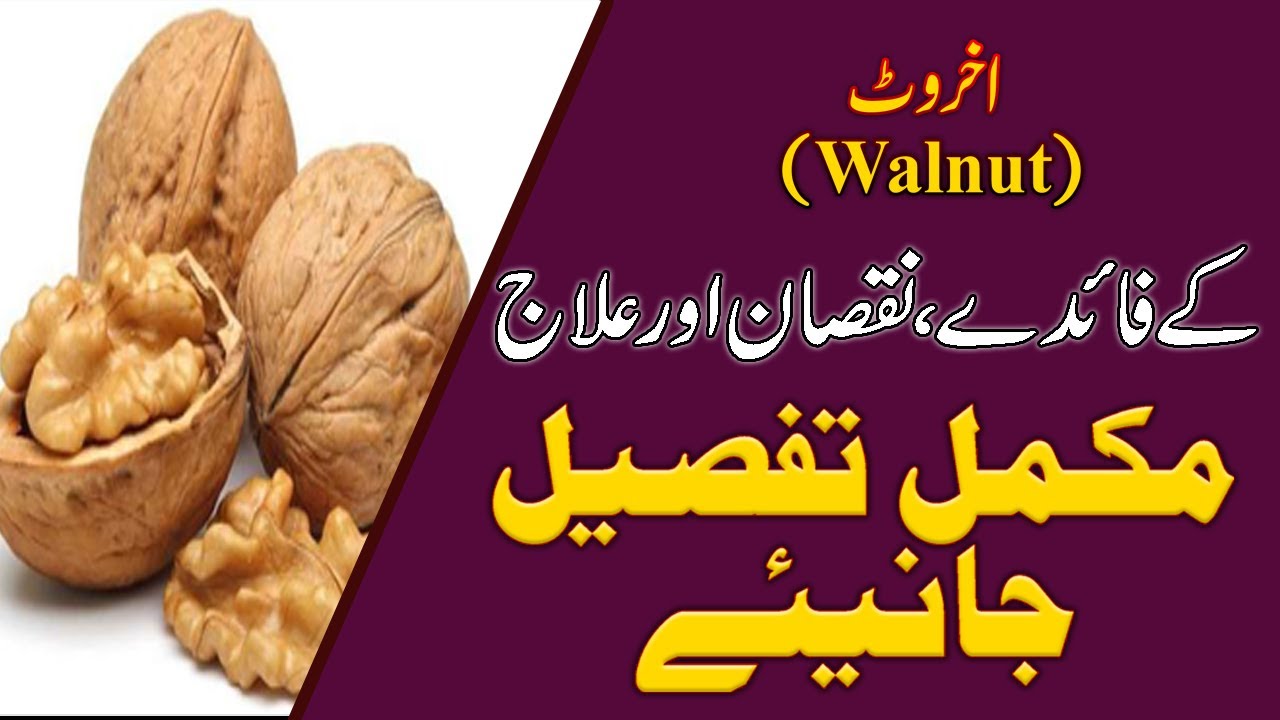 Walnut In urduBenefits of Walnuts and Almonds (Health Tips) YouTube
