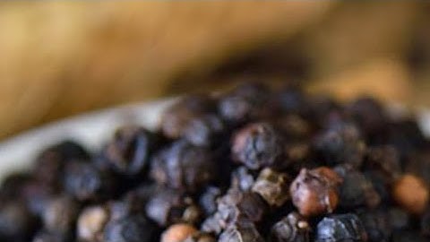 10 दिसंबर मंगलवार नवमी तिथि के दिन 5 काली मिर्च वाला उपाय होगी हर मनोकामना||Pardeep Ji Mishra