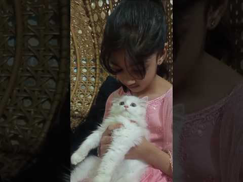 My lovely cat| Two Cats in one frame