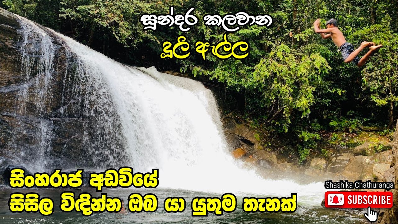 දූලි ඇල්ල | දූවිලි ඇල්ල කලවාන Duli Ella | Duvili Ella Kalawana | Sinharaja Rain Forest