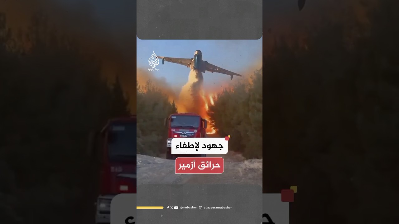 جهود تركية متواصلة لإطفاء الحرائق المندلعة بغابات ولاية أزمير التركية