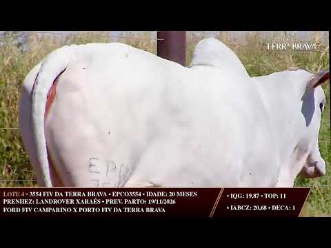 LOTE 04   EPCO 3554