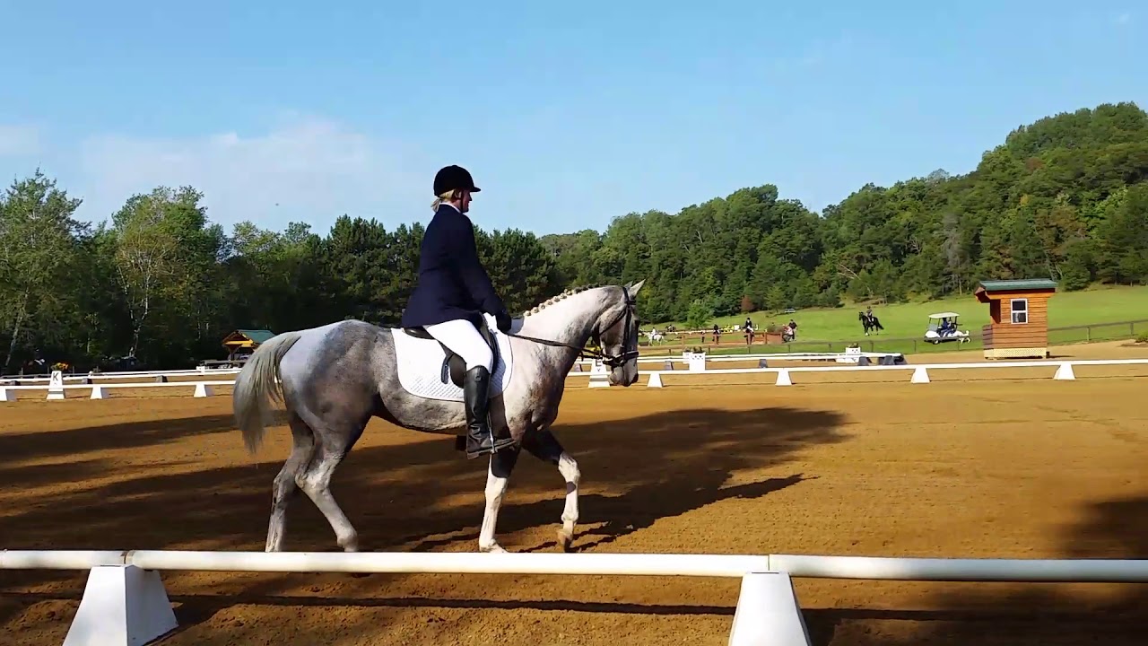 Hickory 1st dressage test. Otter creek horse trials YouTube