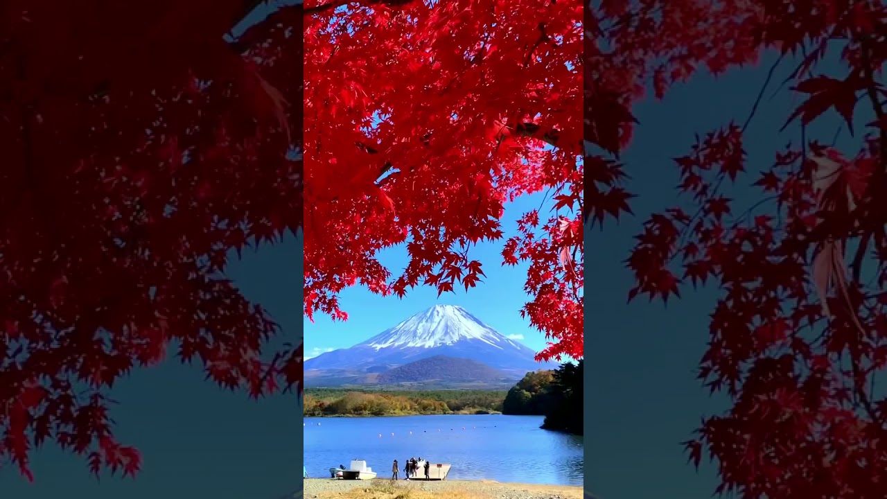 Autumn leaves and Mount Fuji at the lake Shojiko