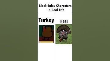 Block Tales Characters in Real Life #roblox #blocktales #shorts