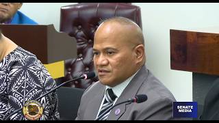 Senate Hearing DPS Overtime and Nonfunctional Fire Hydrants