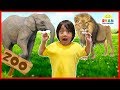 Learn zoo animals names for kids | Educational video for children with Ryan ToysReview