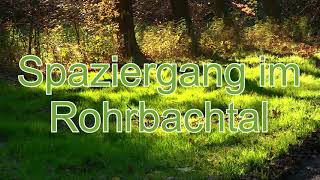 Bruchsaler Natur -  Rohrbachtal