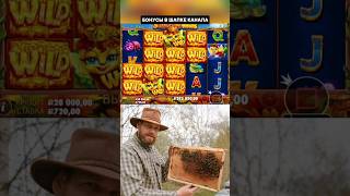 ПЧЕЛИНЫЙ ЗАНОС в 3 Buzzing Wilds 🔥 #занос #выигрыш #удача #максвин