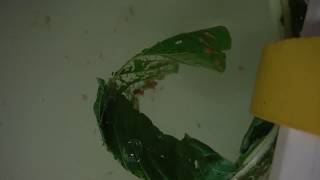 DSCF1390