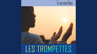 manifeste toi