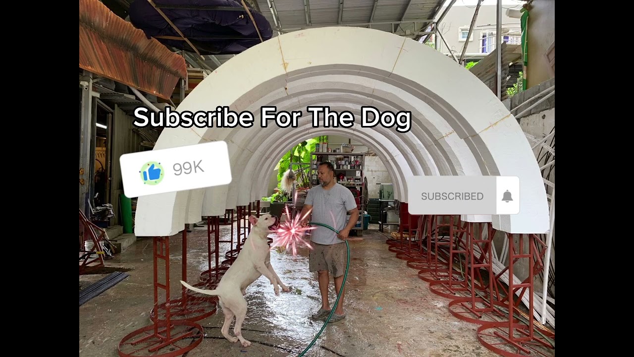 three thousand hand made flowers by Ben Gayah 