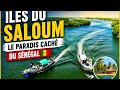 Les Îles Du Saloum Le Paradis Caché Du Sénégal 