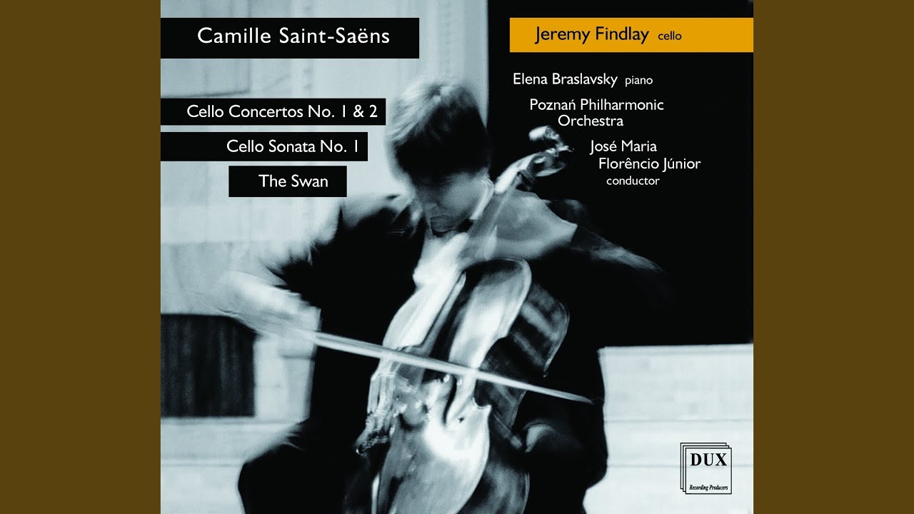 Cello Concerto No. 1 in A Minor, Op. 33: II. Allegretto con moto