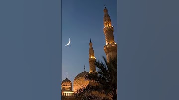 سورة الكوثر | الشيخ صالح الأنصاري