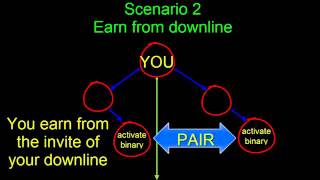 PlanProMatrix Binary Pair