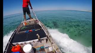Yor turtle hunting sesh lessgoo 🥓