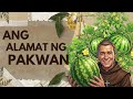 ANG ALAMAT NG PAKWAN -  MGA KWENTONG BAYAN