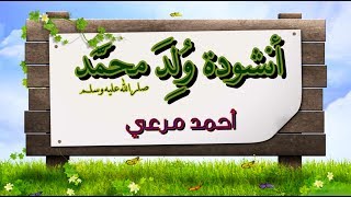 أنشودة المولد النبوي