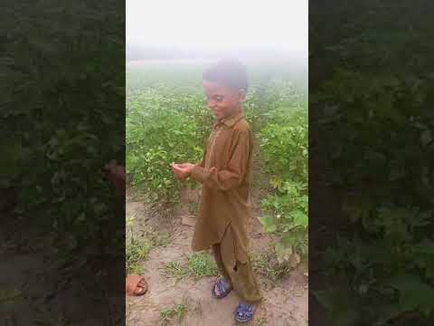 aaj Ham aap ko panjab ka mosum dikhain ge mera yt channel saraiki wilog