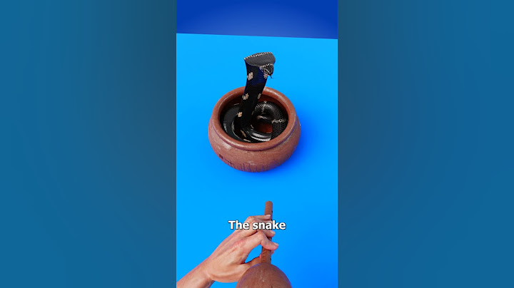 How Snake Charming Works 🤯