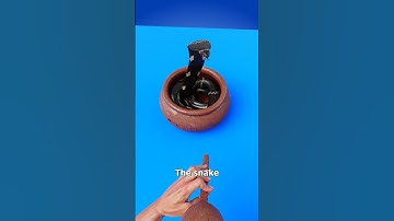 Thumbnail of How Snake Charming Works 🤯