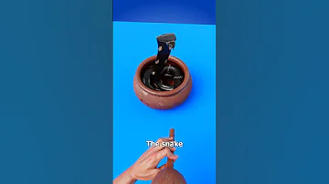 How Snake Charming Works 