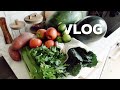 Moving Vlog #3 | Finally Cooking Again, Finding Routines, & DIY Nailbook