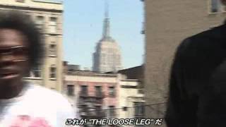House School Dictionary - Loose Leg