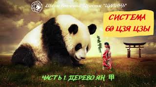 видео: СИСТЕМА 60 ЦЗЯ ЦЗЫ. ЧАСТЬ 1. ДЕРЕВО ЯН. картинка: СИСТЕМА 60 ЦЗЯ ЦЗЫ. ЧАСТЬ 1. ДЕРЕВО ЯН.
