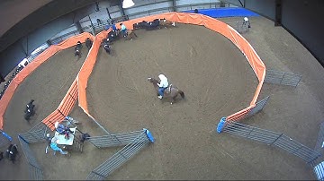 Big Sky Ranch Sorting Saddle Series #3 - #10 H/C - Round #1 - Ride #2
