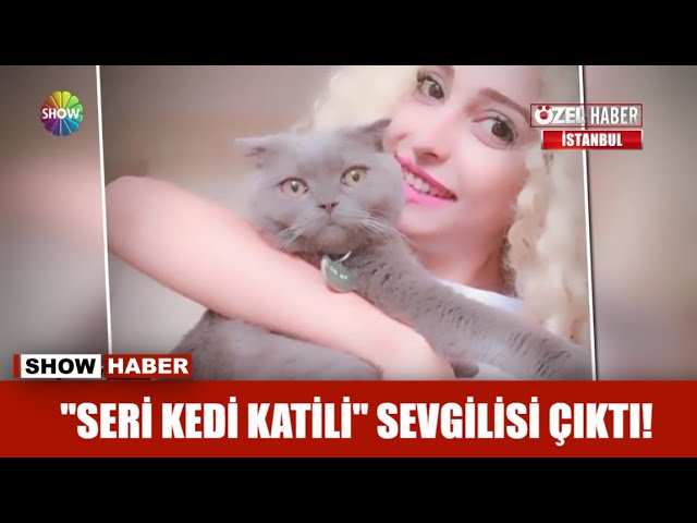 Seri Kedi Katili Sevgilisi Cikti Youtube