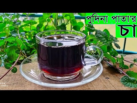 ভিডিও: আইসড পুদিনা চুন চা কীভাবে তৈরি করবেন