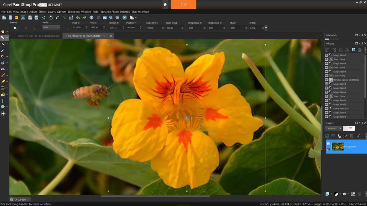 So verwenden Sie das Auswahlwerkzeug „Zauberstab“ in Pro YouTube