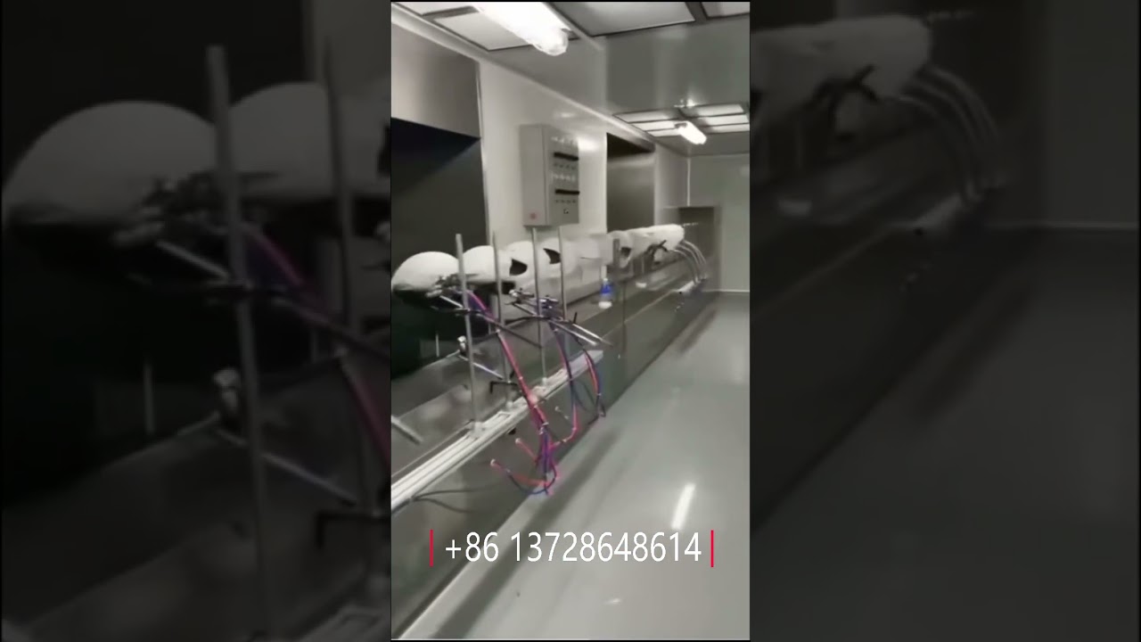 Motorcycle Helmet Automatic Color Coating Line