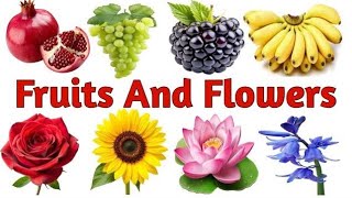 Fruits and flowers name in hindi and english. Fruits &amp; flowers name for kids. Fruits &amp; flowers name.