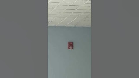 Wheelock Exceeder LED Horn Strobe