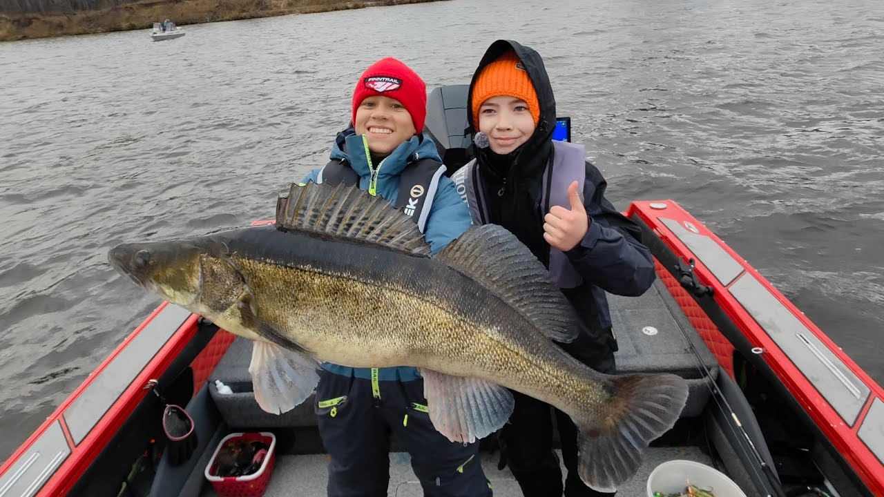 Судаки монстры с базы ЩУКИНО! Паноптикс это как?