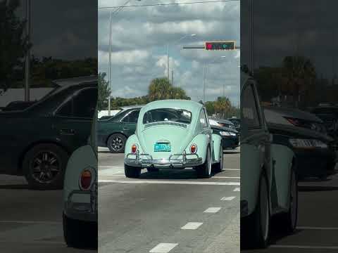 air cooled vw bug beetle in austin texas #cars